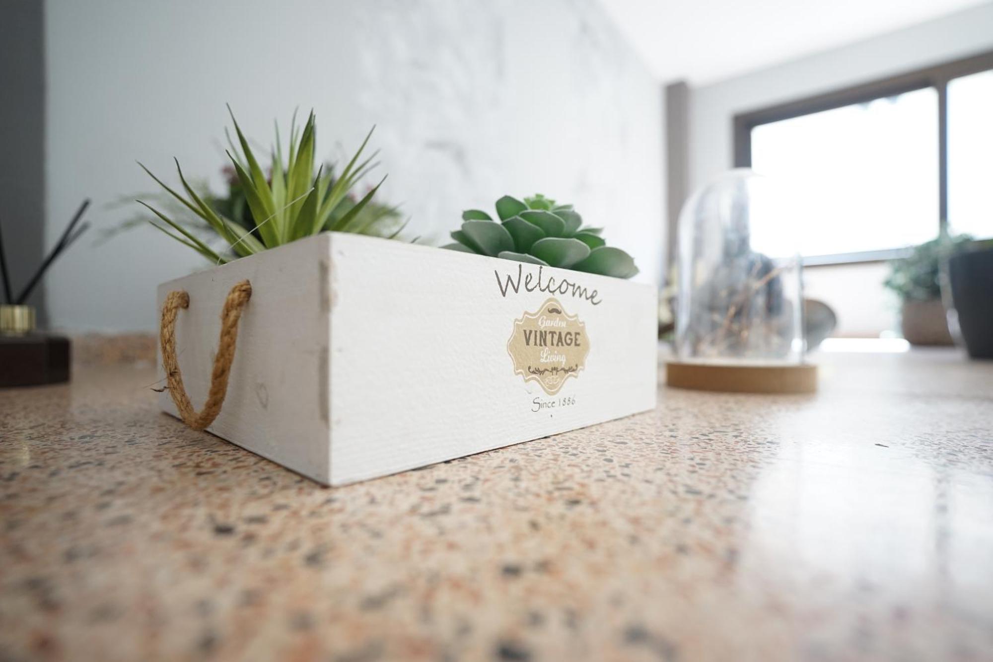 Apartment Mesa